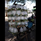 Eine mobile Zierfischhandlung